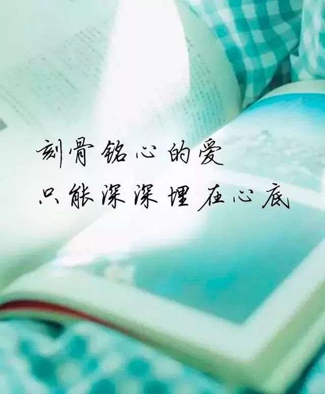 鲜花治愈心情文字