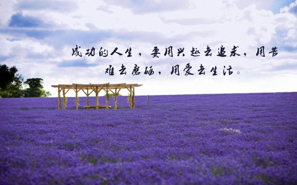 爱情语录短句伤感英语